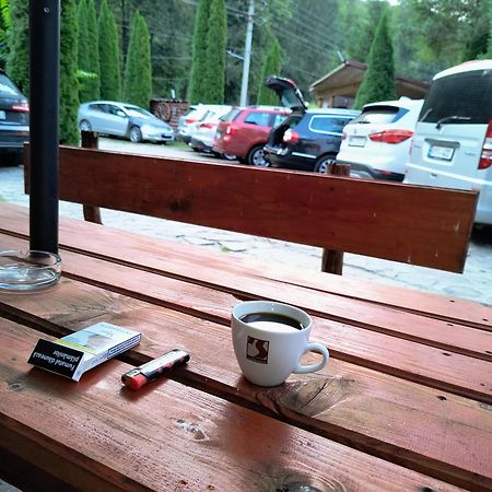 Popas Balea Rau Hotell Cîrţişoara Exteriör bild