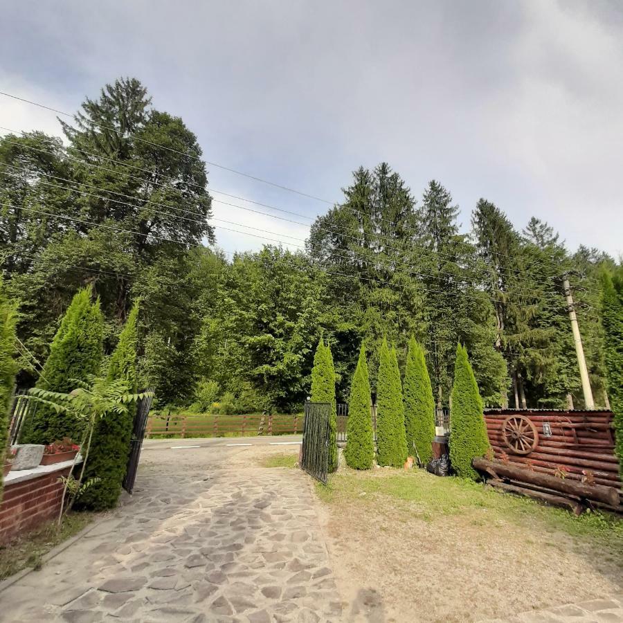 Popas Balea Rau Hotell Cîrţişoara Exteriör bild