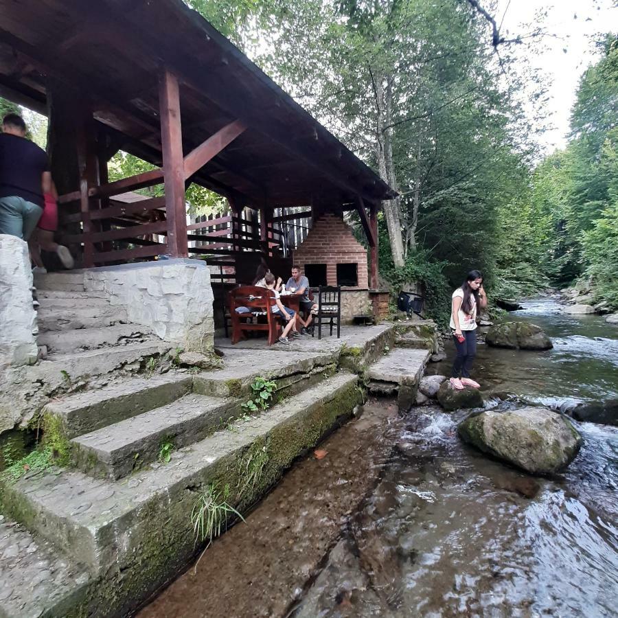 Popas Balea Rau Hotell Cîrţişoara Exteriör bild
